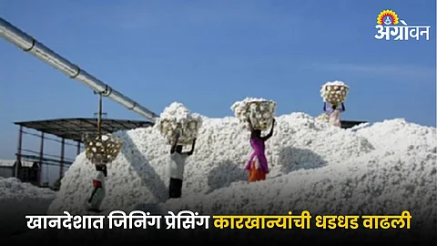 Cotton Industry