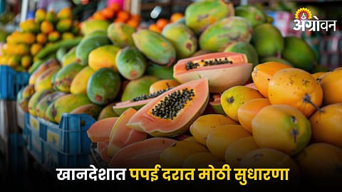Papaya Market