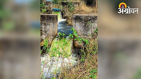 Crop Irrigation