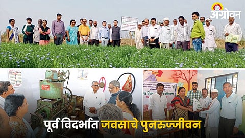 Vidarbha Agriculture