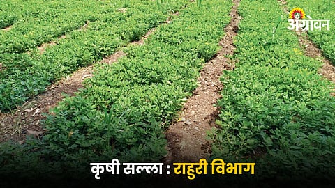Crop Production