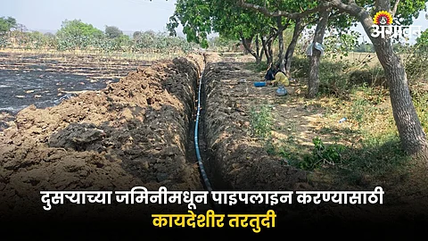 Agriculture Land
