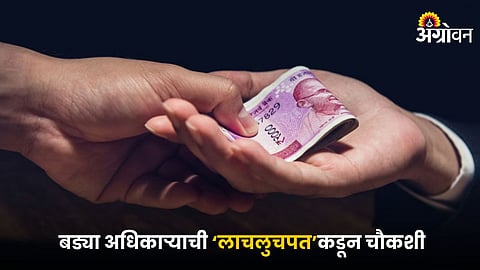 Government Corruption