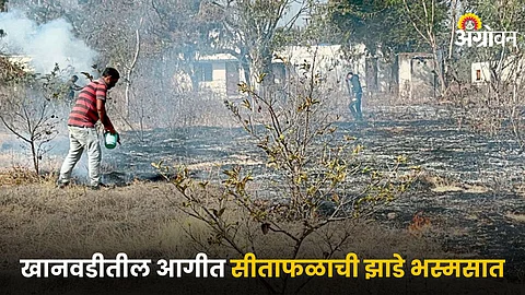 Sitaphal Orchard Fire