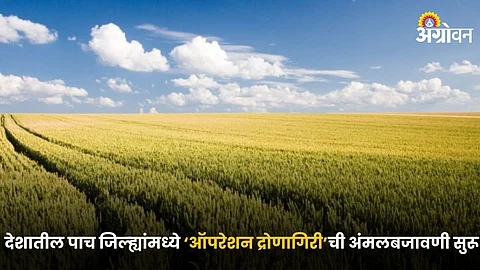 Agriculture Security