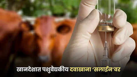 Animal Saline