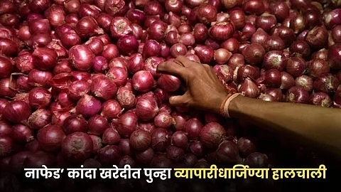 Onion Procurement