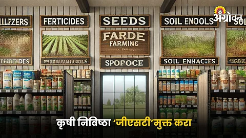 Agriculture Input Store