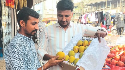 Hapus Mango Kolhapur