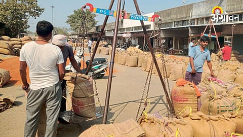 Soybean Market