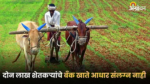 Indian Farmer