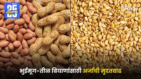 Groundnut and Sesame