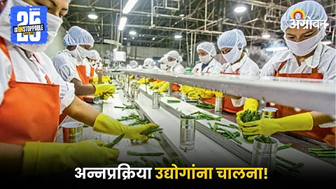 Food Processing Industry