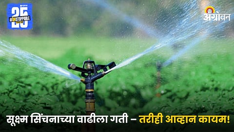 Micro Irrigation