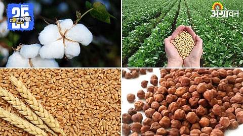 Agriculture Market