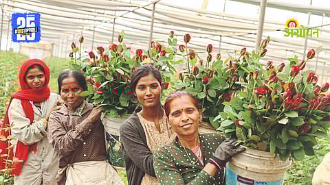 Rose Export