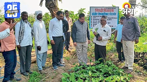 Farm Visit