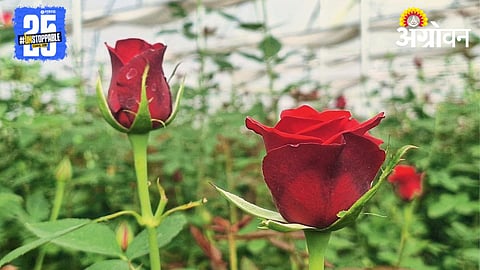 Floriculture