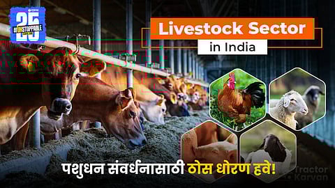 Livestock