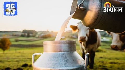 Dairy Industry
