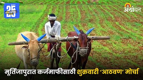 Indian Farmer