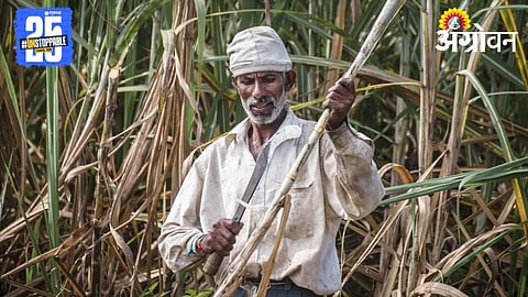 Sugarcane Labor