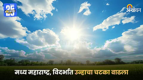Weather