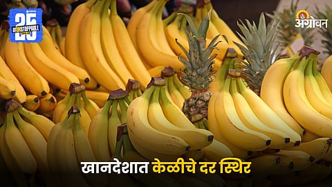 Banana