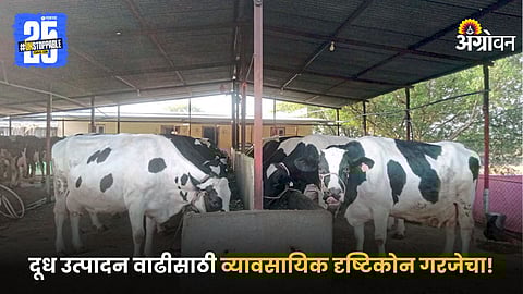 Smart dairy farming