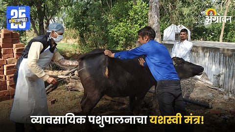 Animal Husbandry
