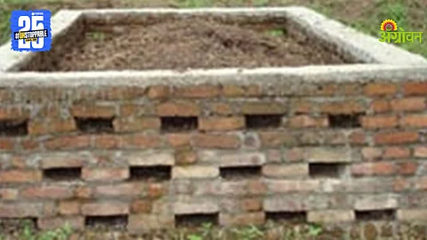 Compost Fertilizer