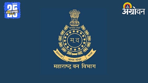 Forest Department