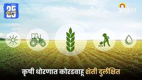 Agriculture Policy