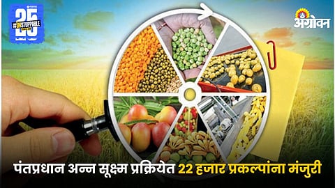 Food Processing Industry