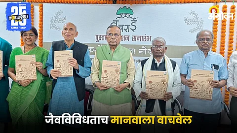 Book Festival