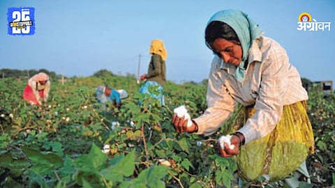 Cotton Picking
