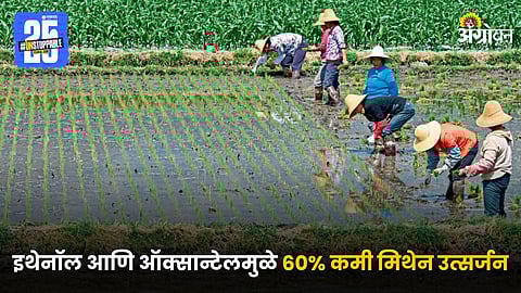 Agriculture