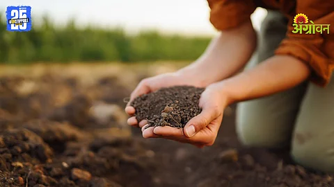 Nitrogen Fertilizer
