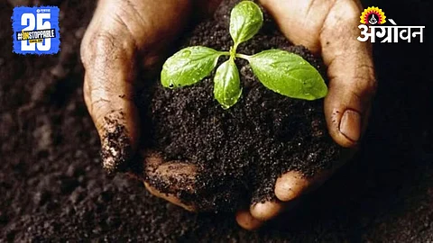 Soil Fertility