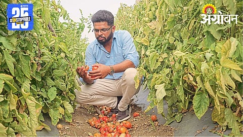 Crop Heat Stress
