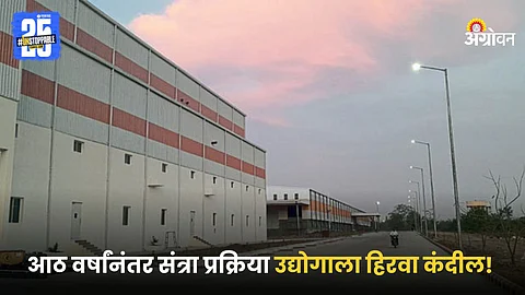 Orange Processing Industry