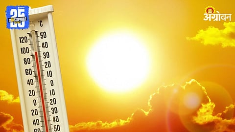 Heat Wave