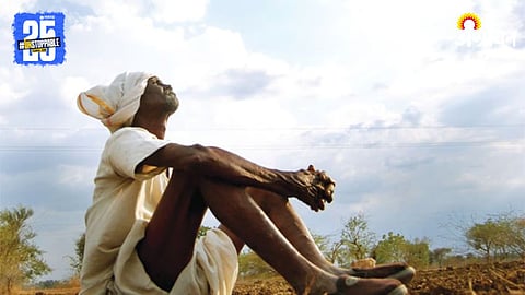 Agriculture Issue
