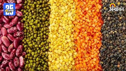 Pulses