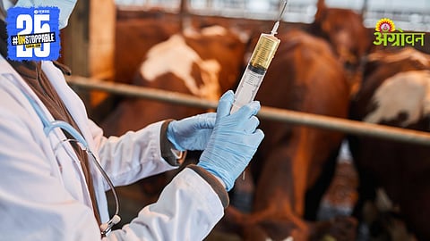 Animal Vaccination