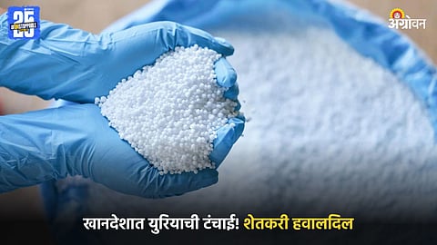 Urea Fertilzer