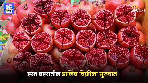 Pomegranate