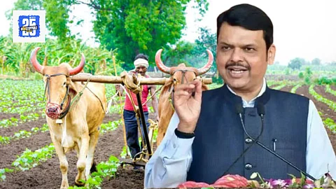 Farmer Karjmafi
