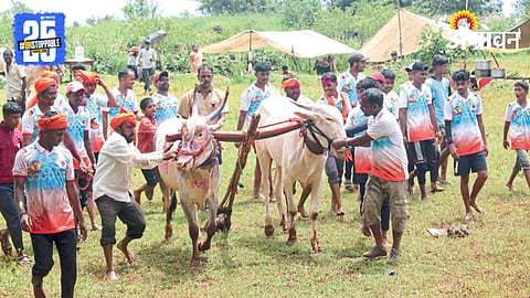 Bull Racing