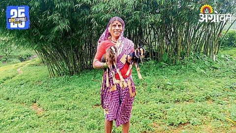 Sahyadri Shephard Community